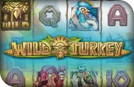 Wild Turkey